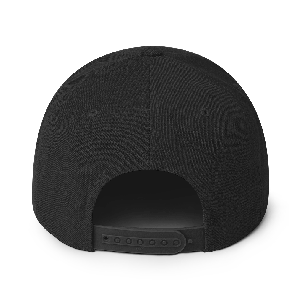 Big sase Snapback