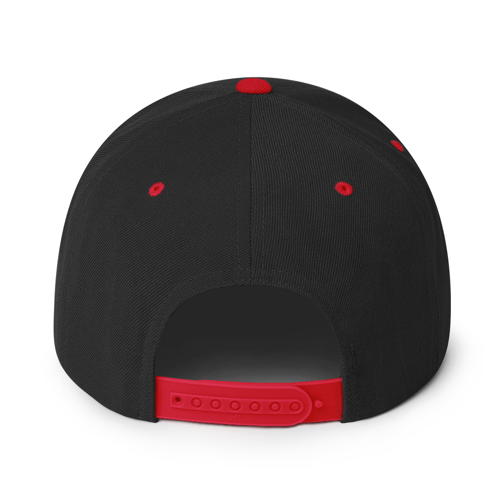 Big sase Snapback