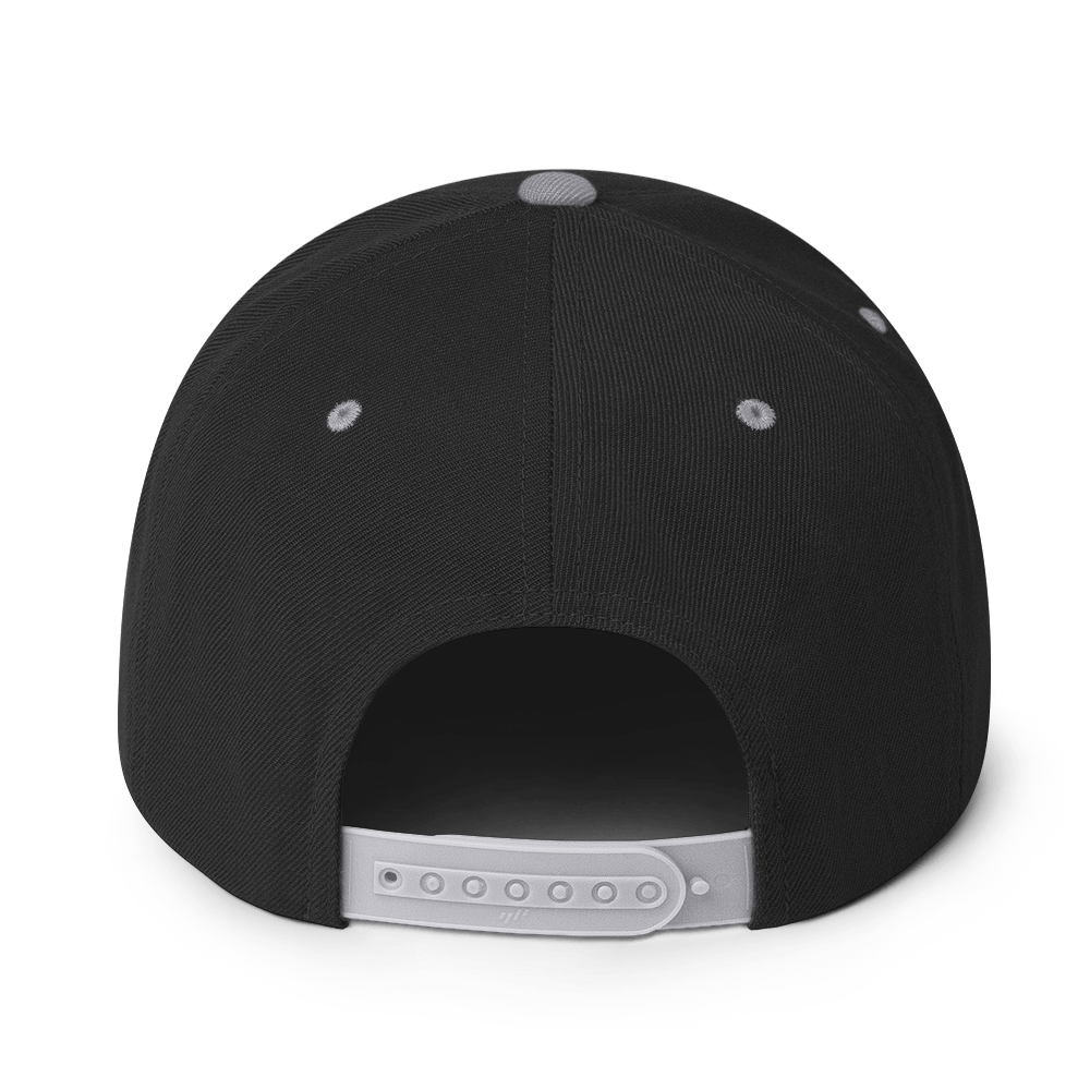 Big sase Snapback
