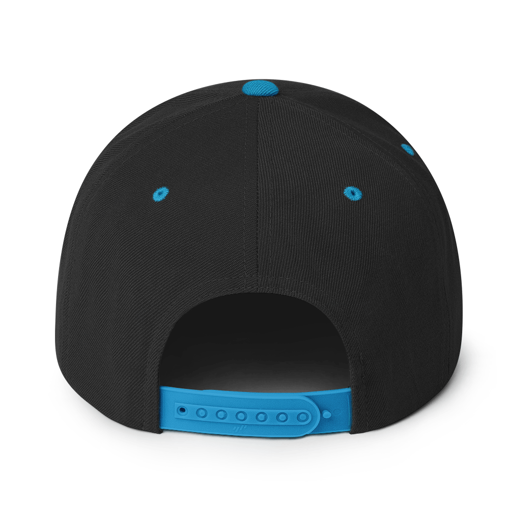 Big sase Snapback