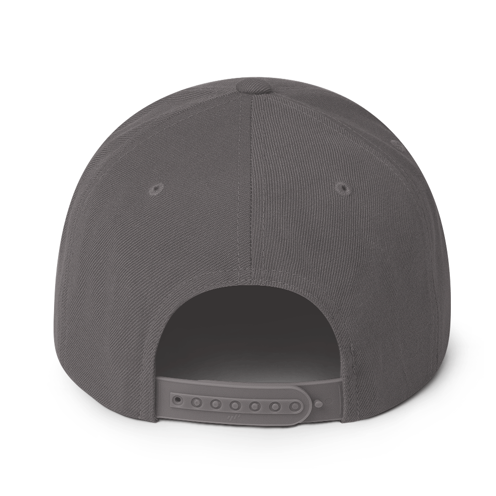Big sase Snapback