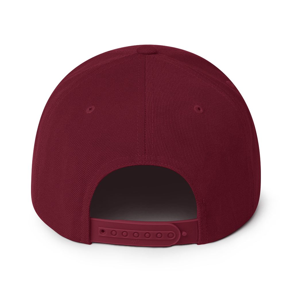 Big sase Snapback