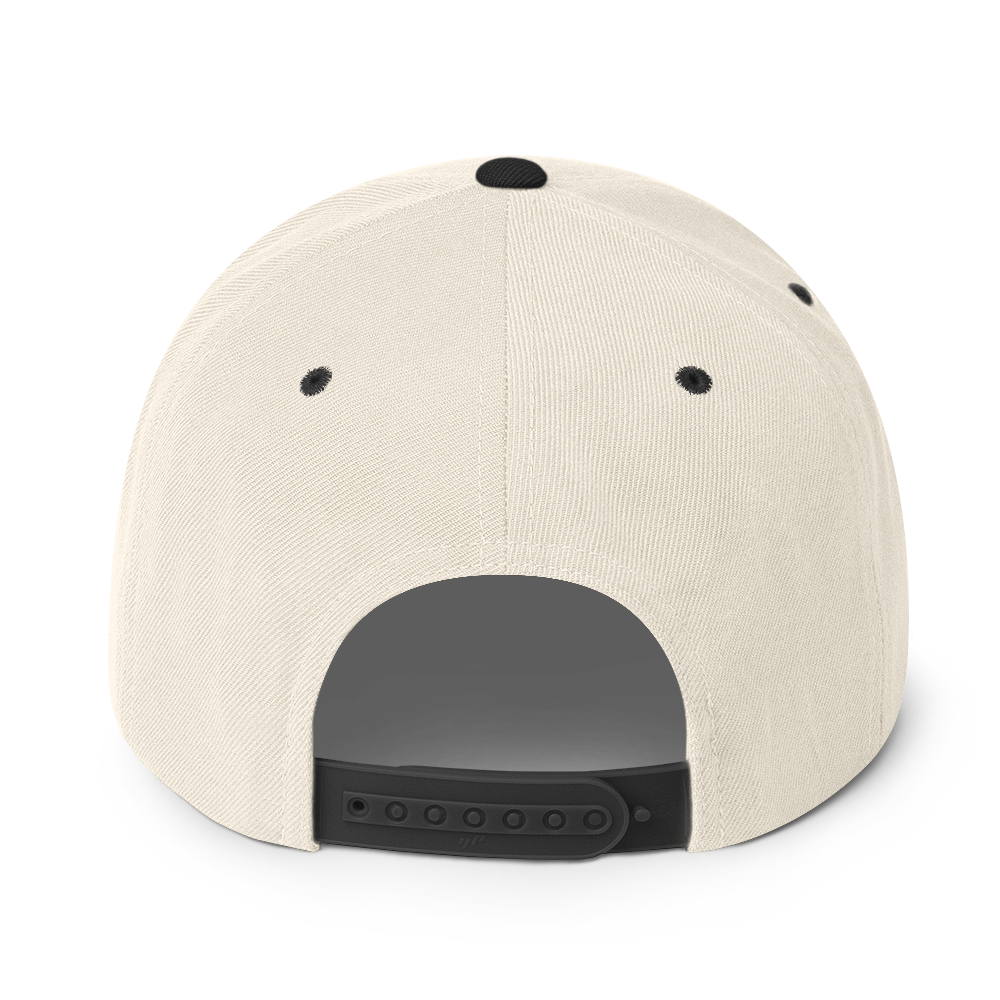 Big sase Snapback