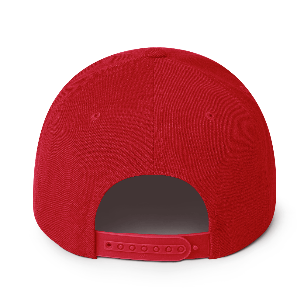 Big sase Snapback