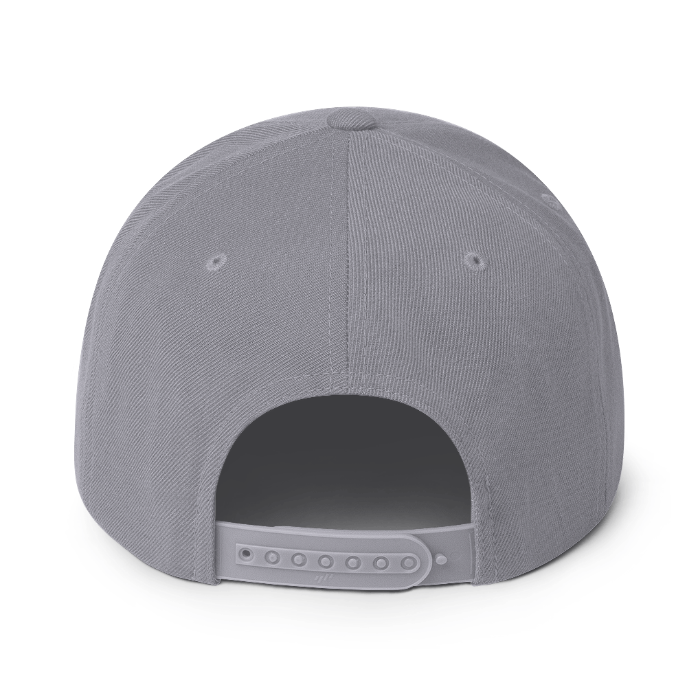 Big sase Snapback