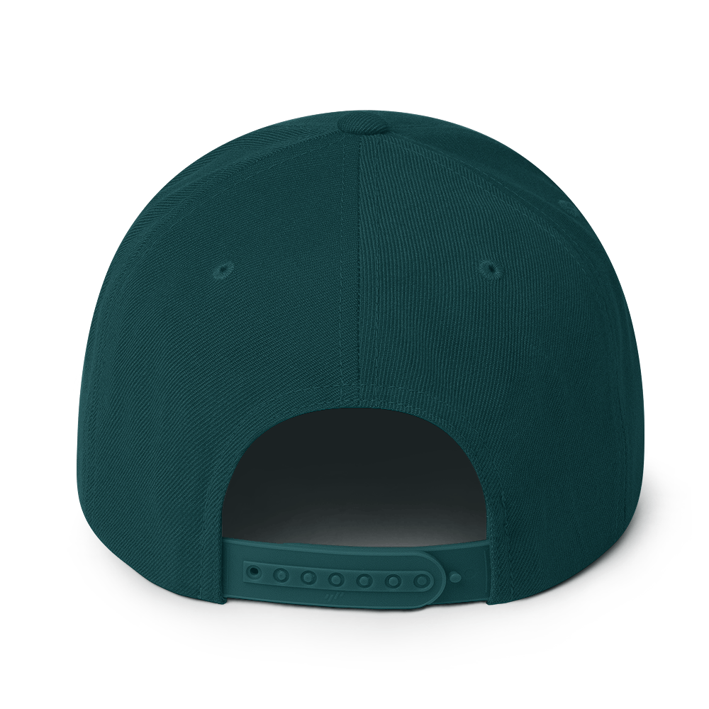 Big sase Snapback